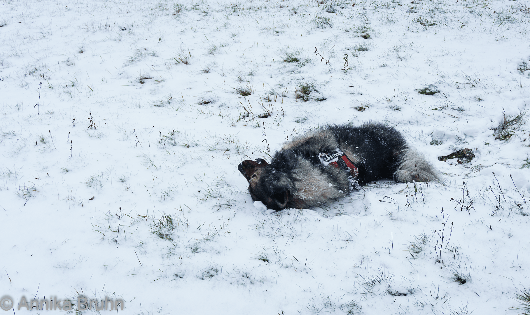 Q hat richtig viel Spaß